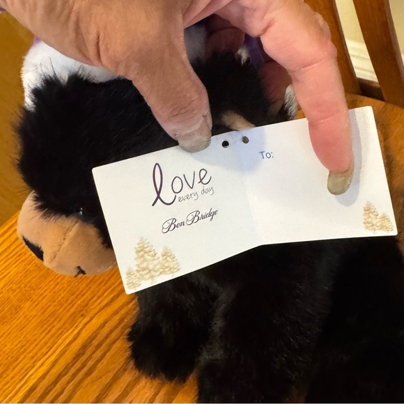 π 6/$60 NWT Ben Bridge Benny Jewelry Holder Black Tan Bear Purple Hat 2024 10β - Picture 7 of 9